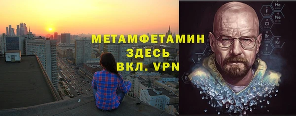 шишки Медвежьегорск