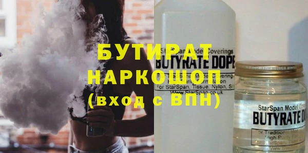 шишки Медвежьегорск