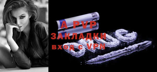 шишки Медвежьегорск