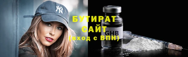шишки Медвежьегорск