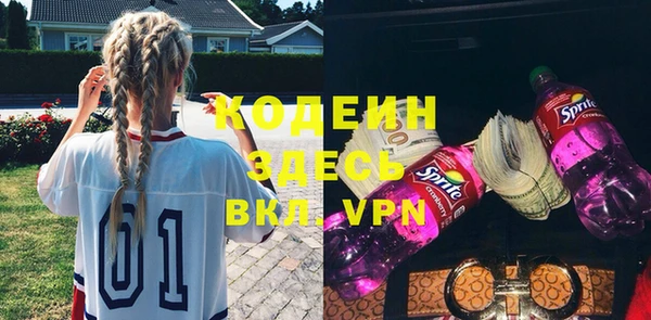 шишки Медвежьегорск