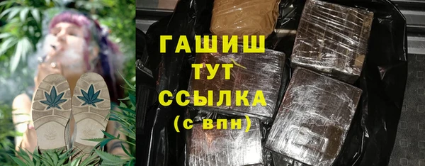 шишки Медвежьегорск