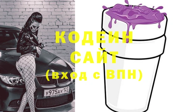 шишки Медвежьегорск