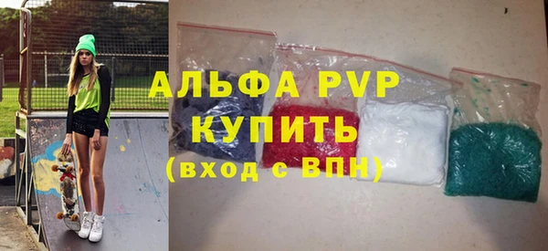 шишки Медвежьегорск