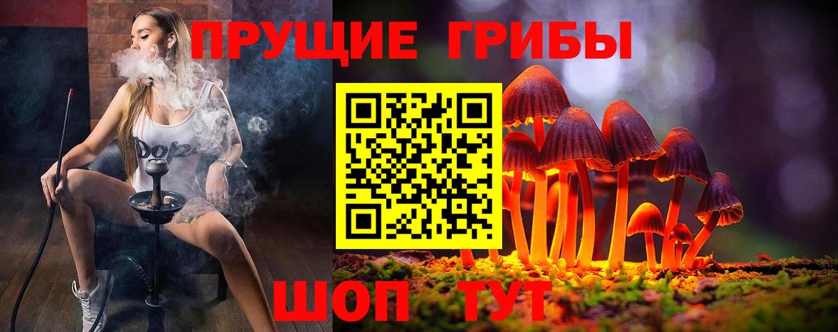 Псилоцибиновые грибы Psilocybine cubensis  Вход с VPN  Егорьевск 