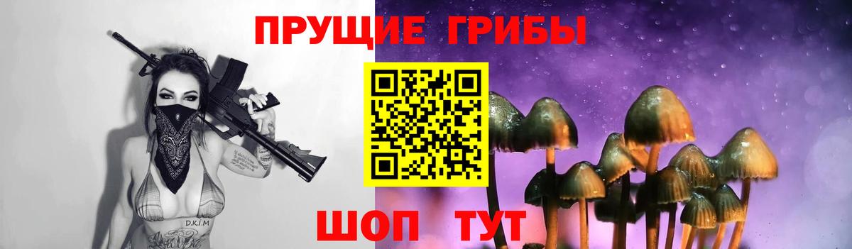 Галлюциногенные грибы Cubensis Егорьевск